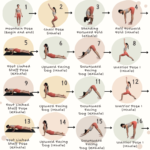 Sun Salutation Sequences The Complete Guide To Unlock Vitality And