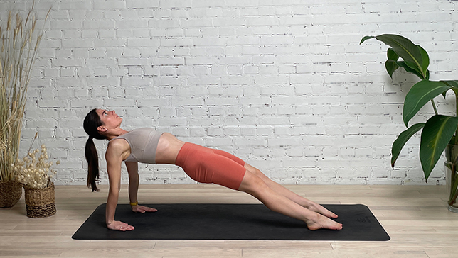 Upward Plank Pose (front) - Iana Varshavska