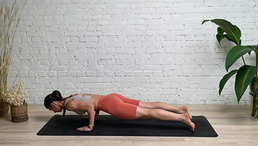 Four Limbed Staff Pose Flow (Chaturanga Dandasana Vinyasa) Variations - 29  variations of Chaturanga Dandasana Vinyasa