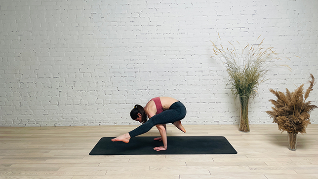 Parivrtta Pada Garudasana in Hamsana (Eagle Side Crow Pose) by DeAnne  Clifton