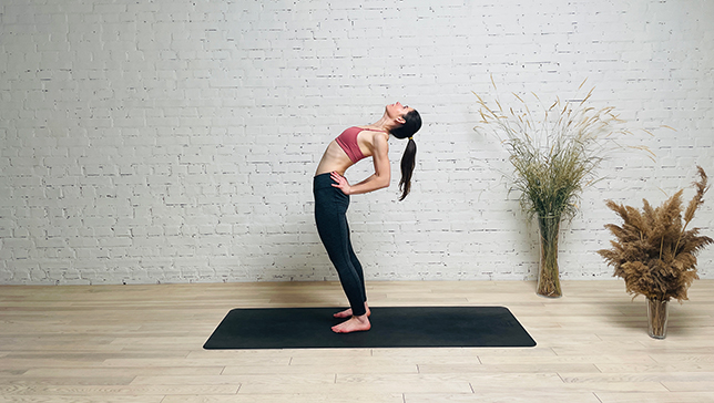 Half Wheel Pose - YanvaYoga