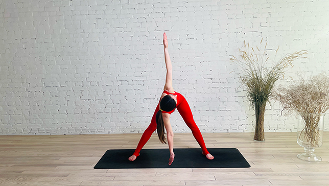 Half Wide Legged Forward Bend Twist Pose - YanvaYoga