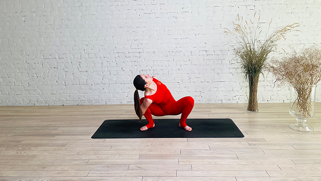 Revolved Garland Pose - YanvaYoga