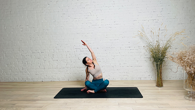 Seated Side Bend Pose - YanvaYoga