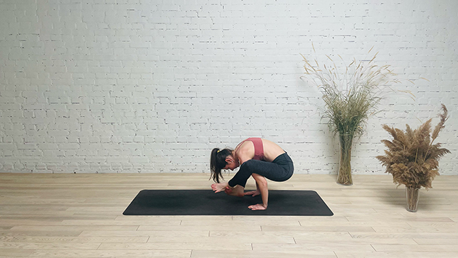 Shoulder-Pressing Pose - Bhujapidasana - YanvaYoga