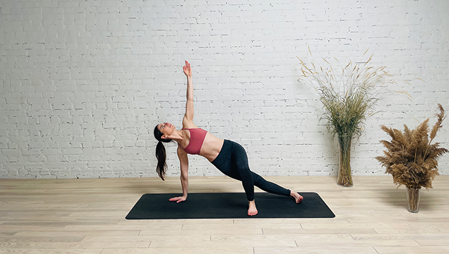 Supported Side Plank Pose - YanvaYoga