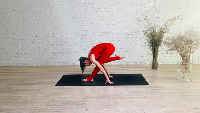 Flamingo Pose - YanvaYoga