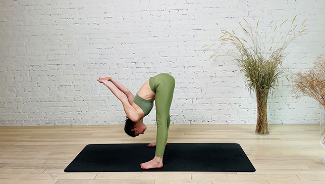 Standing Yoga Seal - YanvaYoga