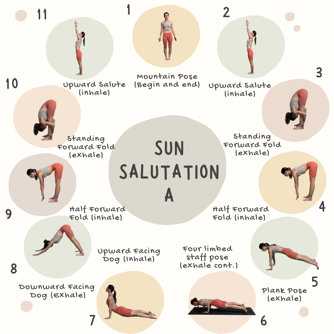 Sun Salutation Sequences: The Complete Guide To Unlock Vitality And ...